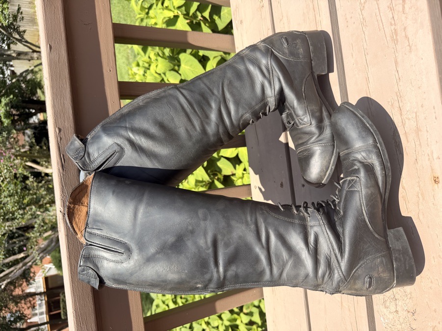 ARIAT tall boots