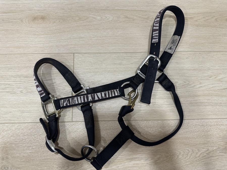 Gently-Used Zebra Print Nylon Halter