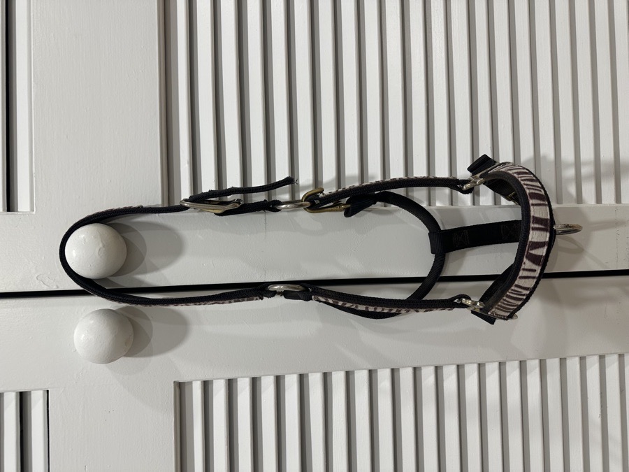 Gently-Used Zebra Print Nylon Halter
