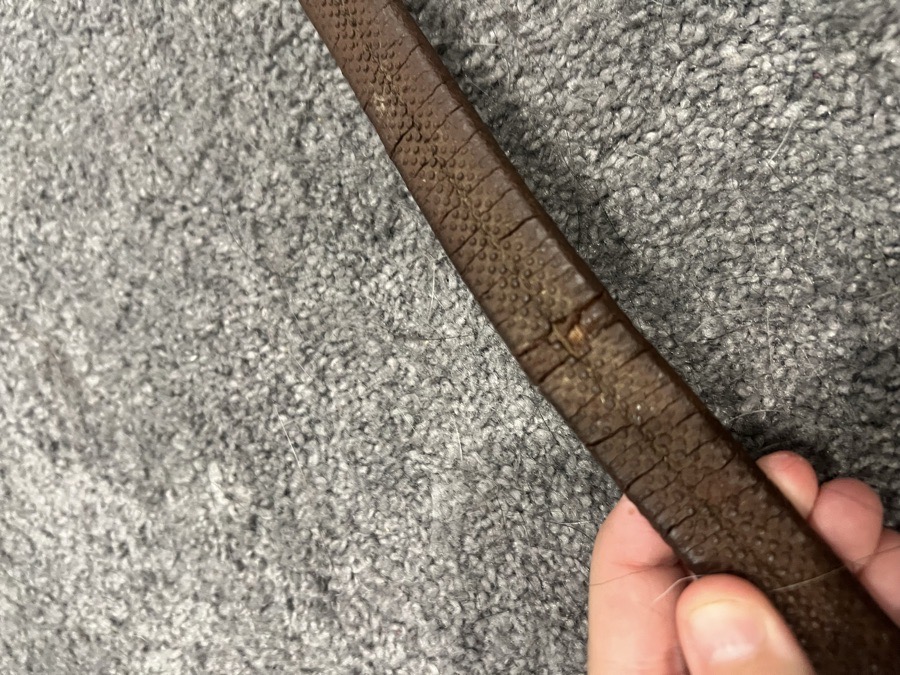 Rubber reins