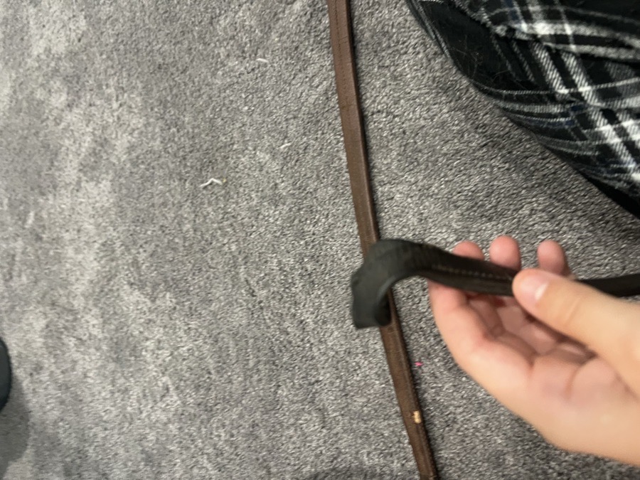 Rubber reins