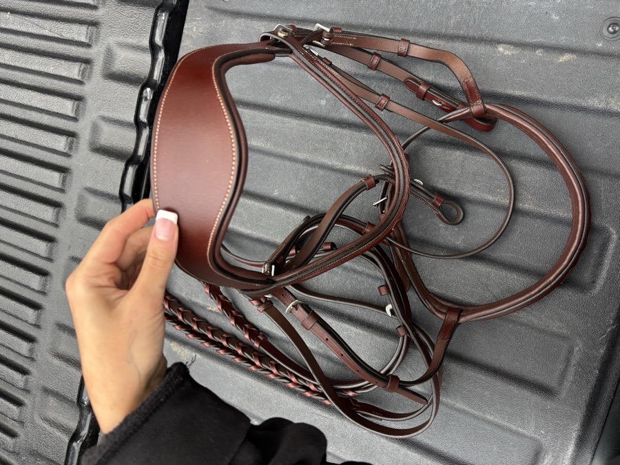 DOVER CIRCUIT Bridle Horse