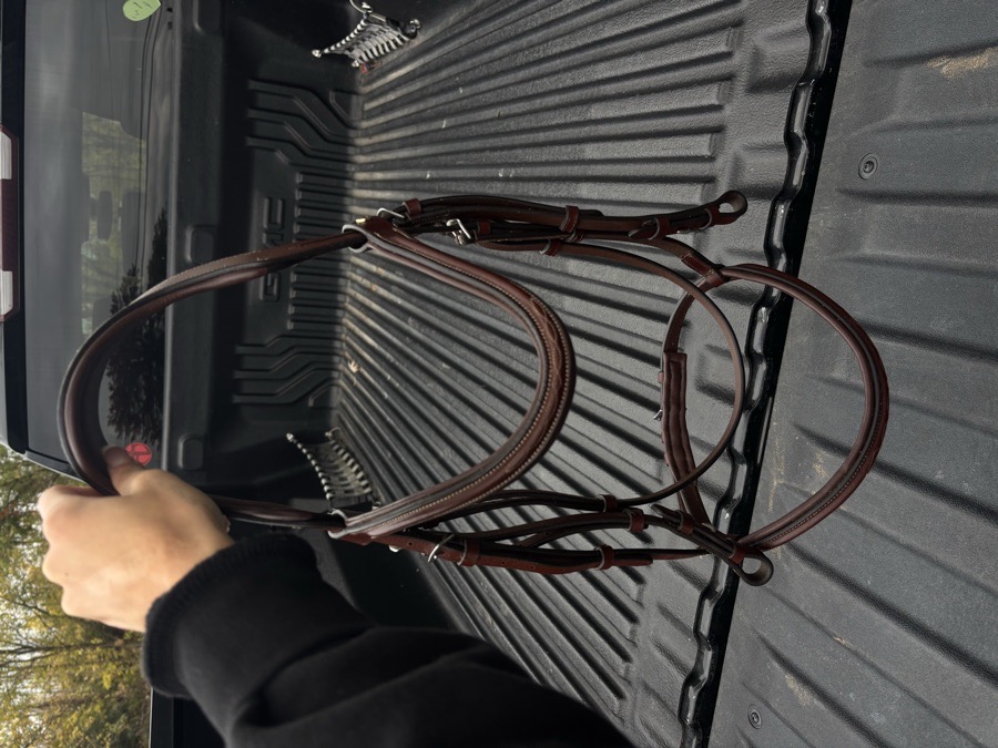 DOVER CIRCUIT Bridle Horse