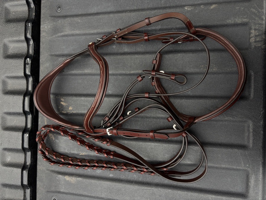 DOVER CIRCUIT Bridle Horse