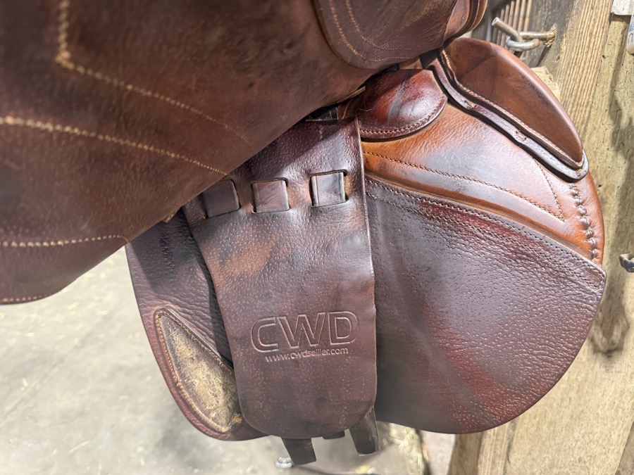 CWD SE03 | 17.5" | 4.5" Tree Size | 2016