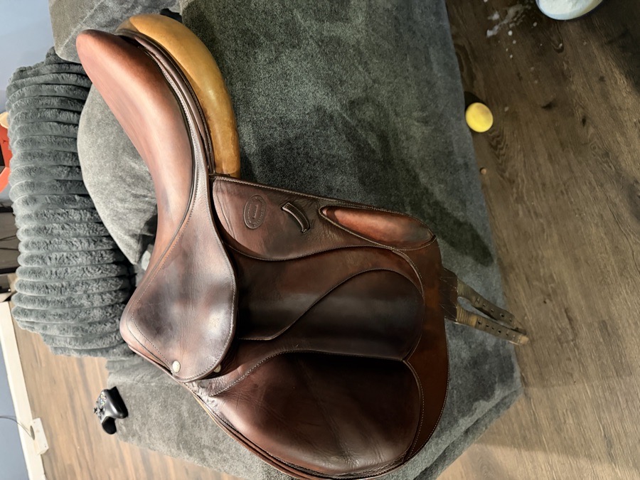 DEVOUCOUX | 18" | 4.25" Tree Size