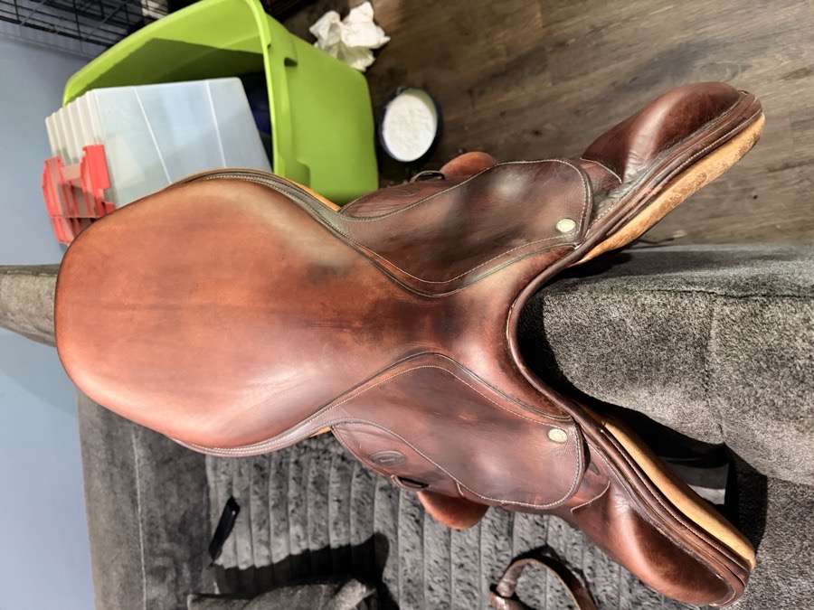 DEVOUCOUX | 18" | 4.25" Tree Size