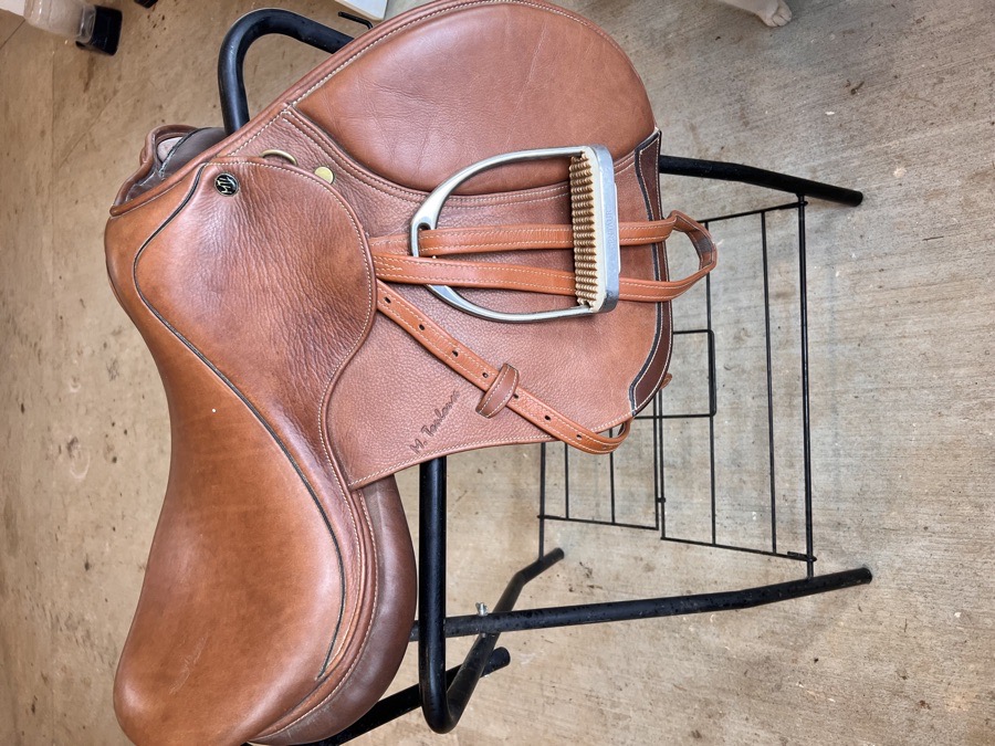 16.5” Med Tree M. Toulouse New