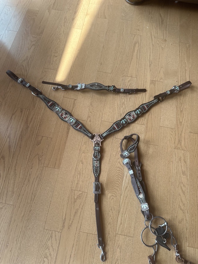 Mandy’s Custom Tack Set