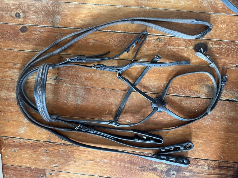 Horse figure 8 bridle and reins