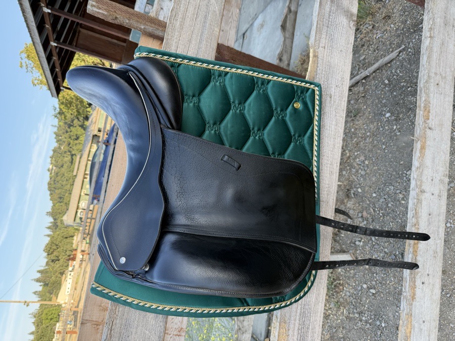 Custom Steffens Advantage saddle for sale
