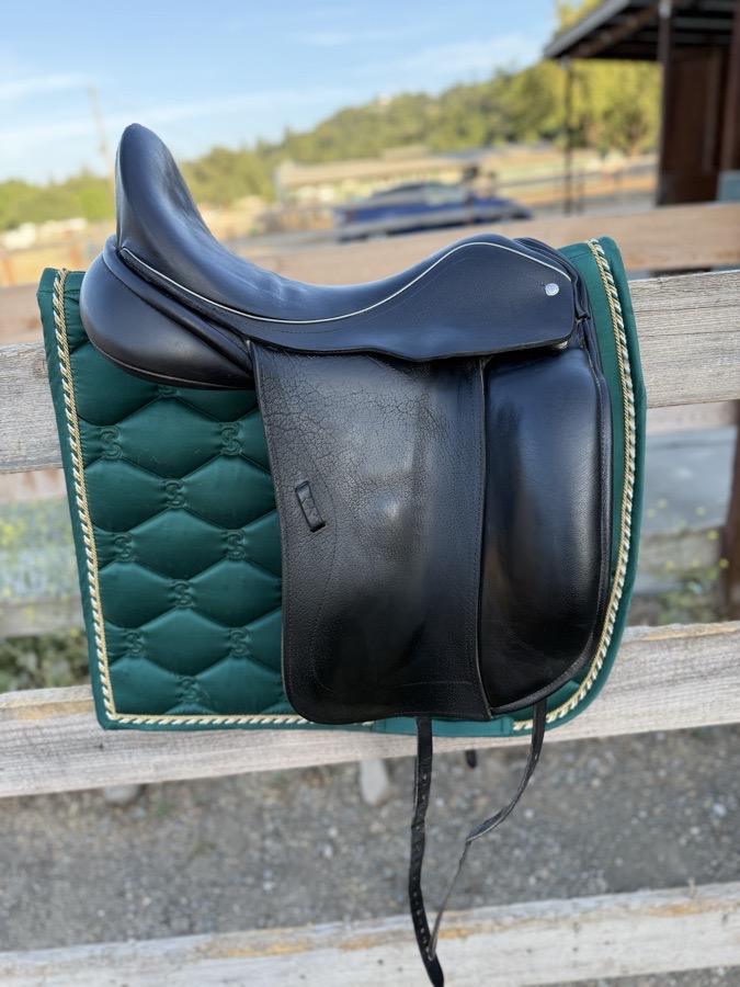 Custom Steffens Advantage saddle for sale