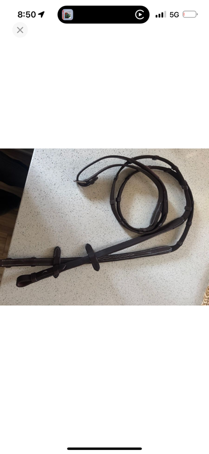Webbed Reins