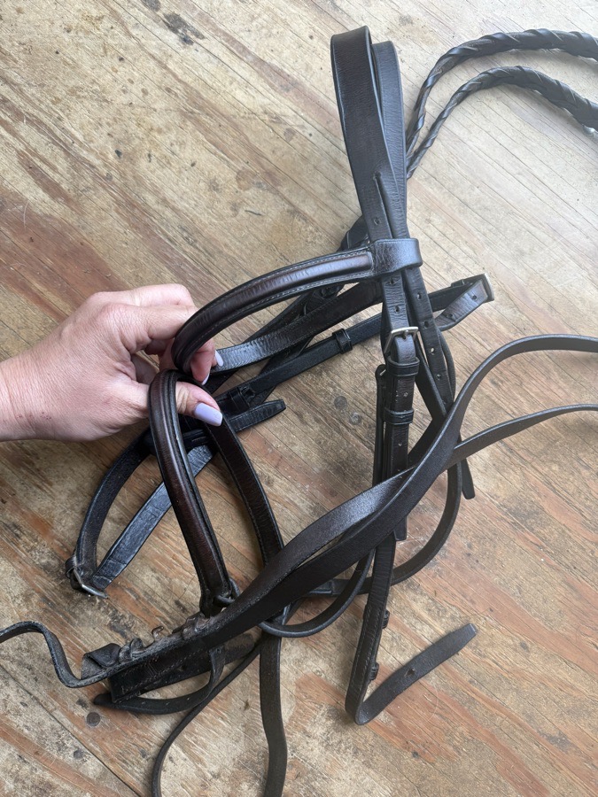 Square raised horse sized bridle and reins