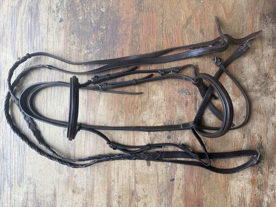 Square raised horse sized bridle and reins