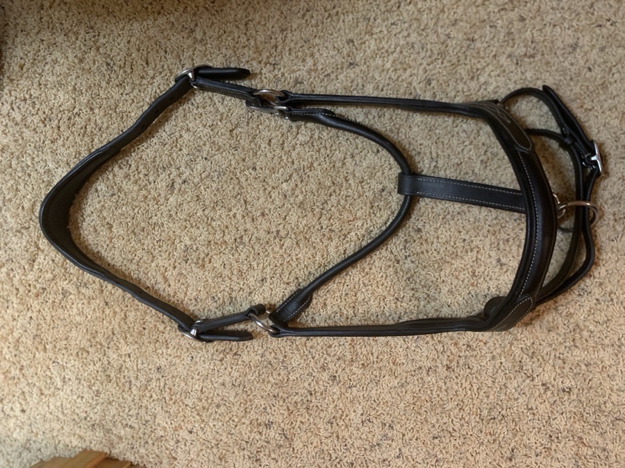 Kavalkade Ergonomic Ivy Halter 