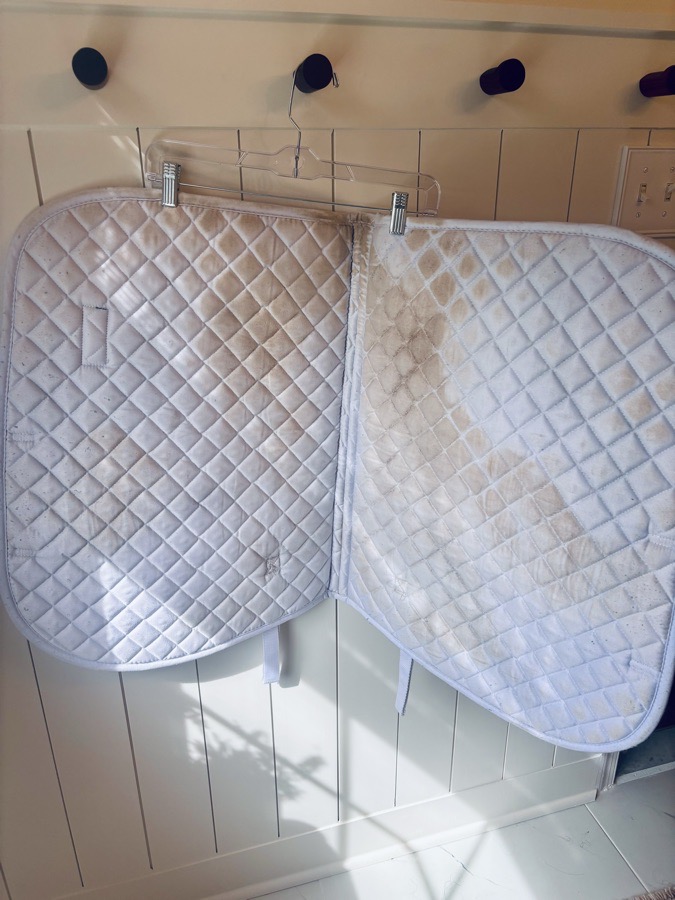 DOVER SADDLERY Pad