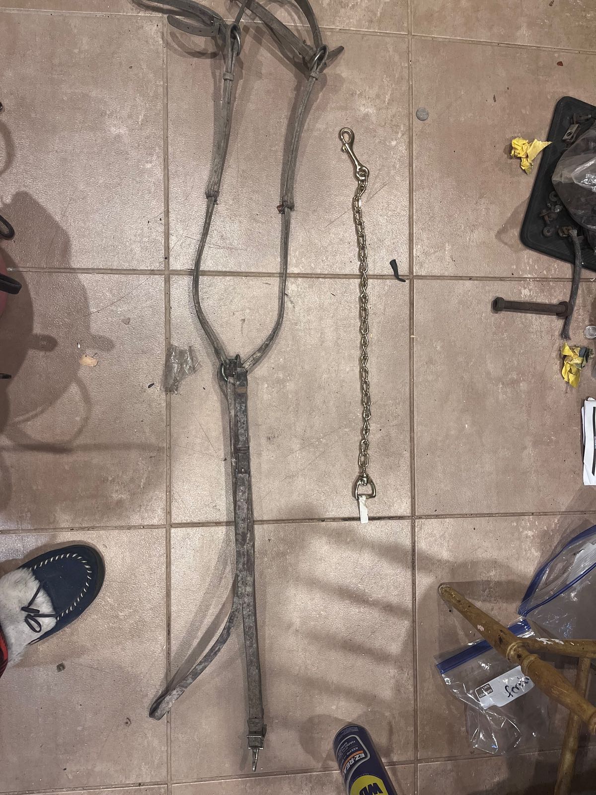 Martingale , bridles, draw rein setup