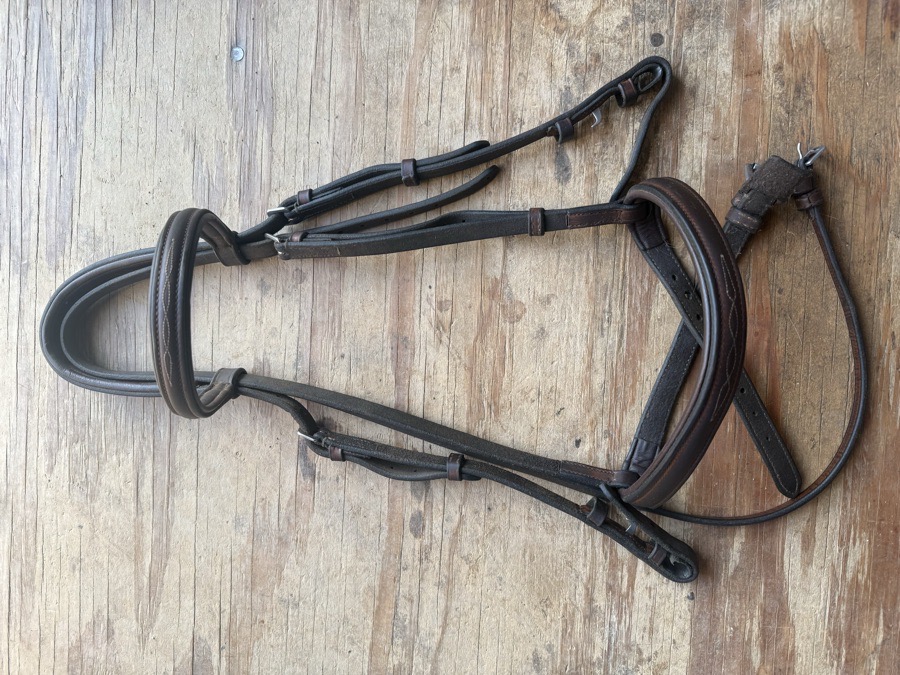 Cob fancy stitch bridle