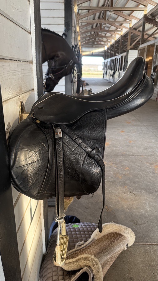 Santa Cruz closecontact saddle