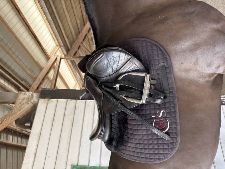 Santa Cruz closecontact saddle