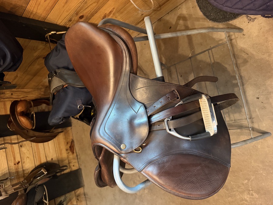 Pessoa saddle