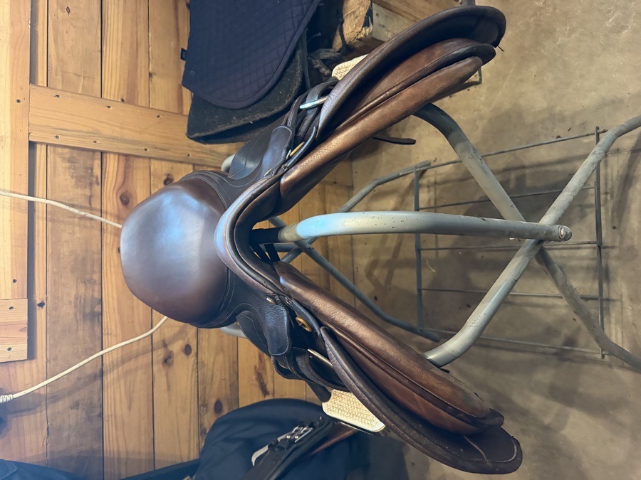 Pessoa saddle