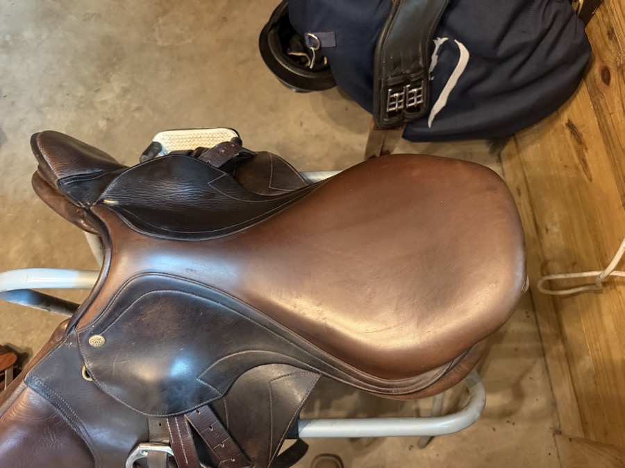 Pessoa saddle