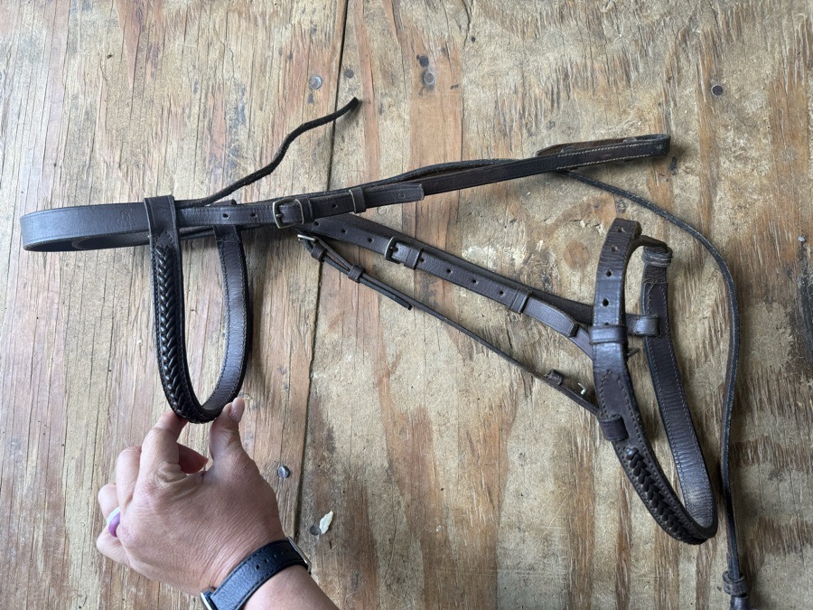 cob sized weave bridle