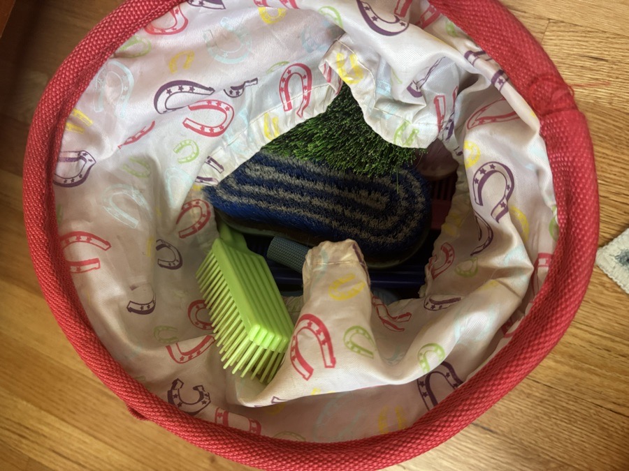 Red Grooming Tote with Brushes