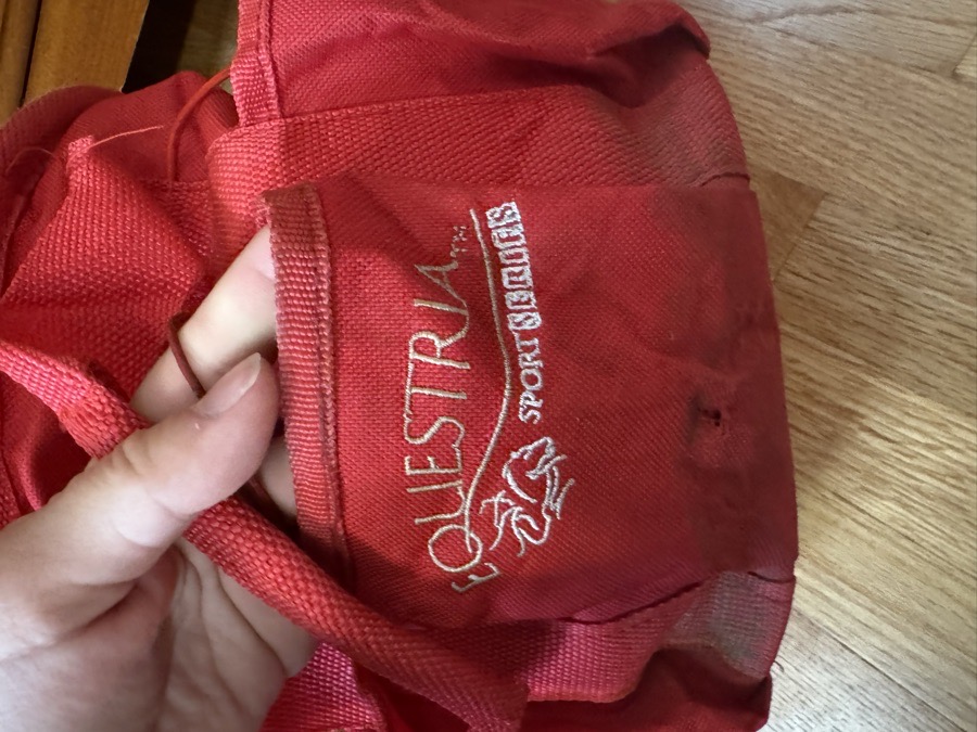 Red Grooming Tote with Brushes