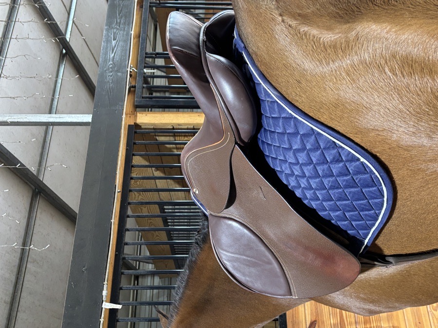 Henri De Rival 17.5” Advantage