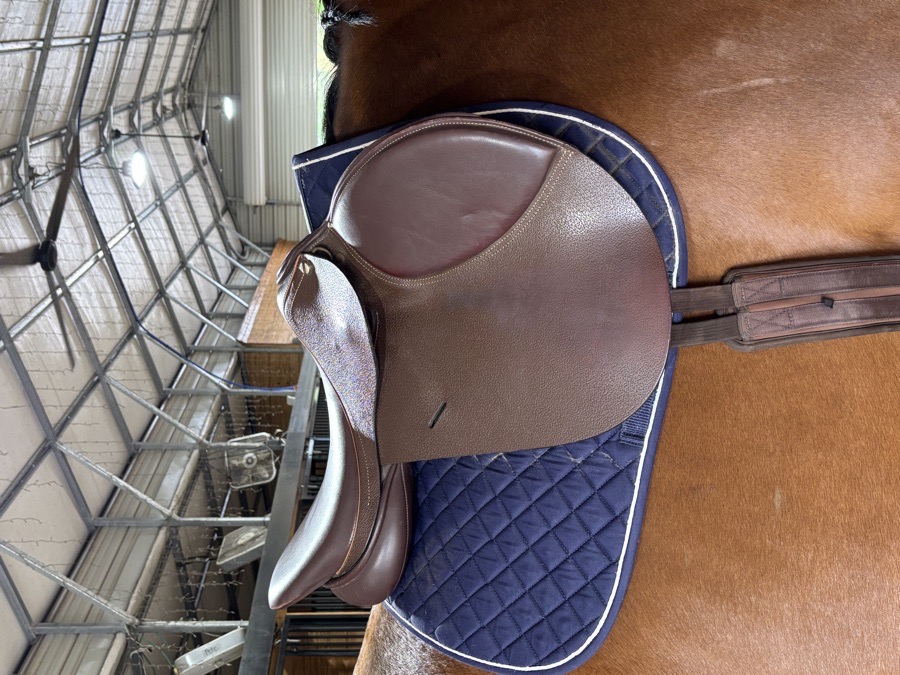 Henri De Rival 17.5” Advantage