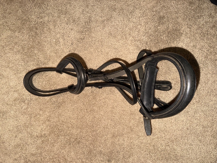 Black bridle 
