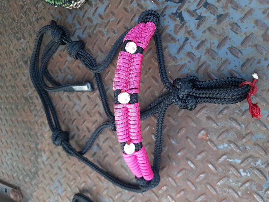 Pink kisses rope halter