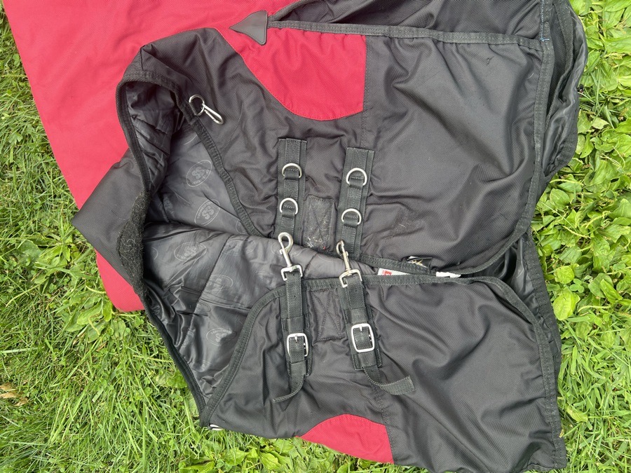 SCHNEIDER'S SADDLERY 78 t/o heavy