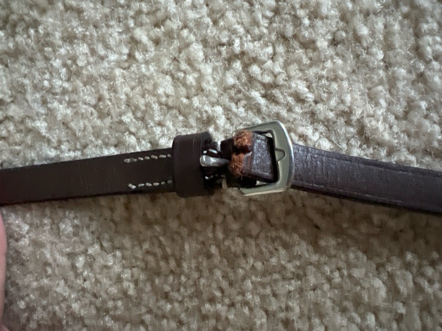 Broken *FIXABLE* reins