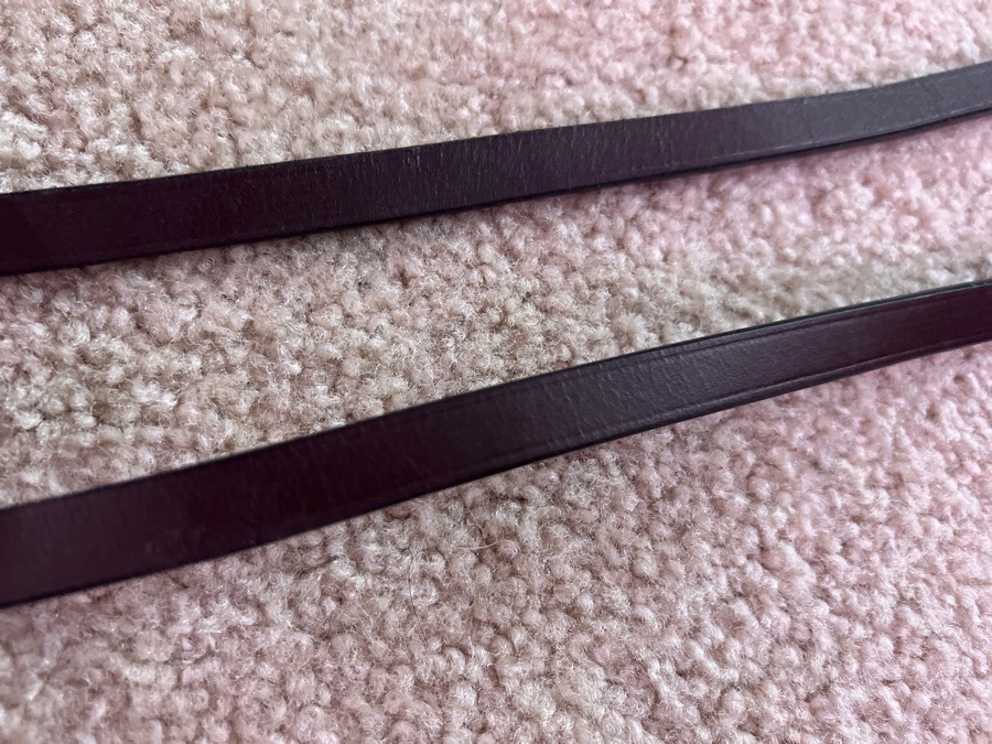 Broken *FIXABLE* reins