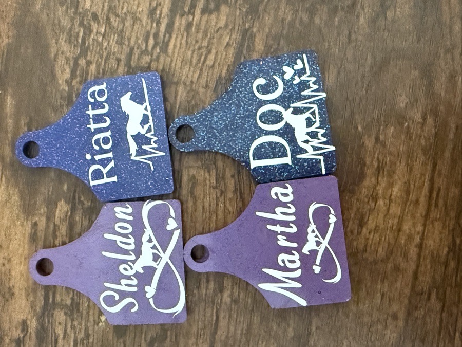Halter id tag