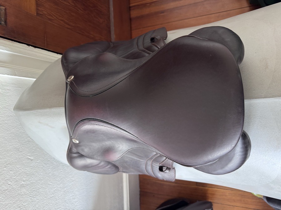 15” CWD SE10 Child / Pony Saddle - 2019 - 2K - Full Buffalo!