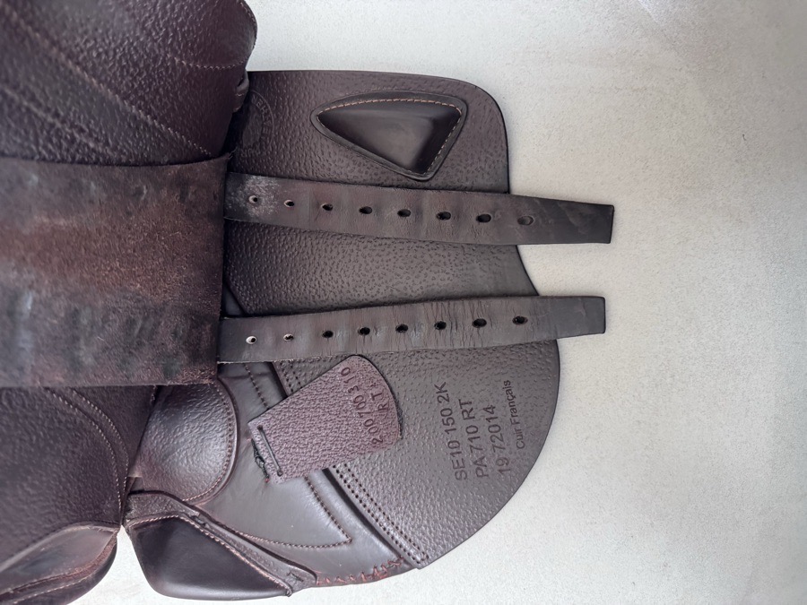 15” CWD SE10 Child / Pony Saddle - 2019 - 2K - Full Buffalo!