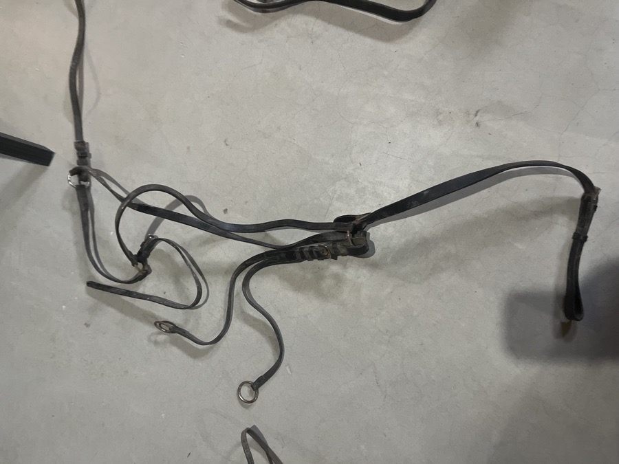 Breastplate+running martingale