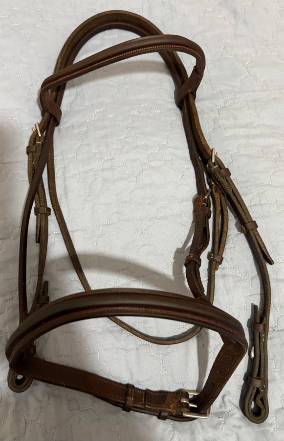 NEW CAVALRY Bridle Cob