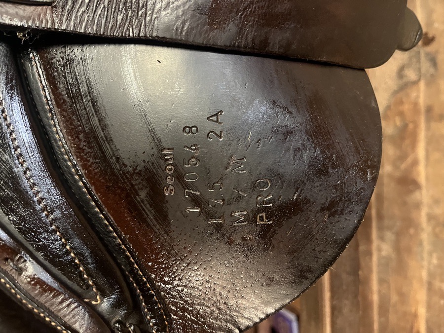 Forestier Seoul Jump Saddle