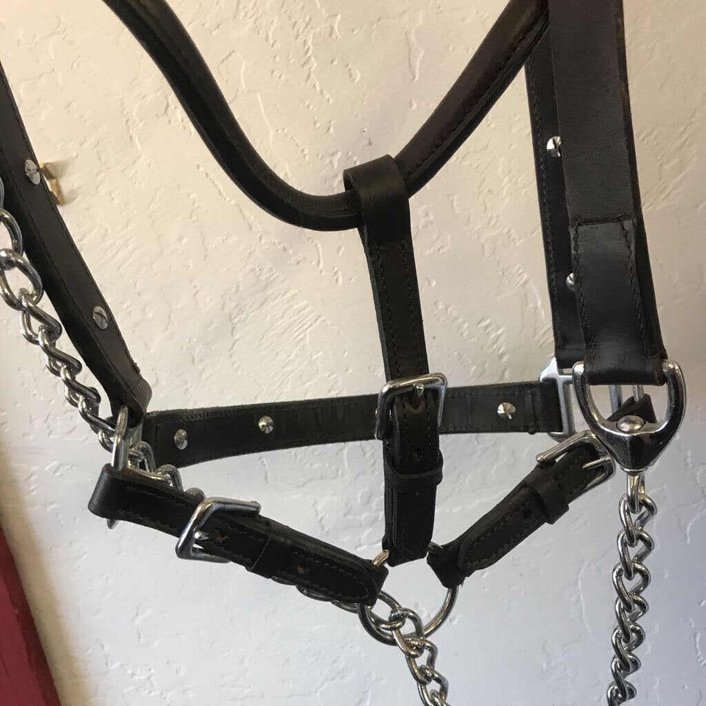 Brown Show Halter, Used