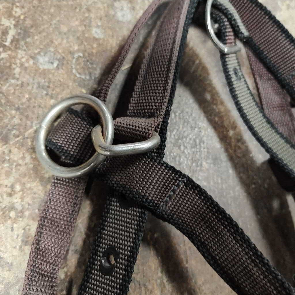 Training Cavesson Nylon, Brown, Size Horse