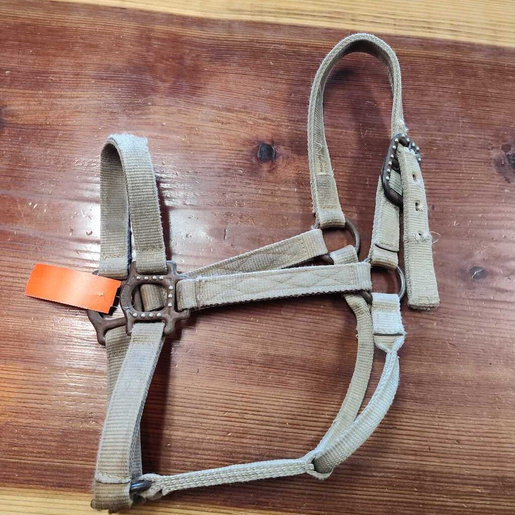 Mustang Nylon Halter, Brown, Size Horse