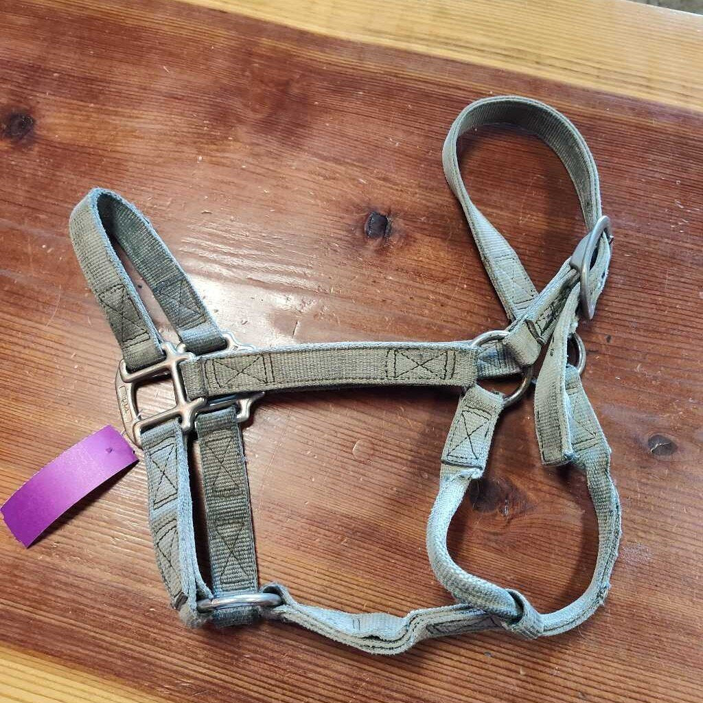 Nylon Halter, Grey, Size Horse