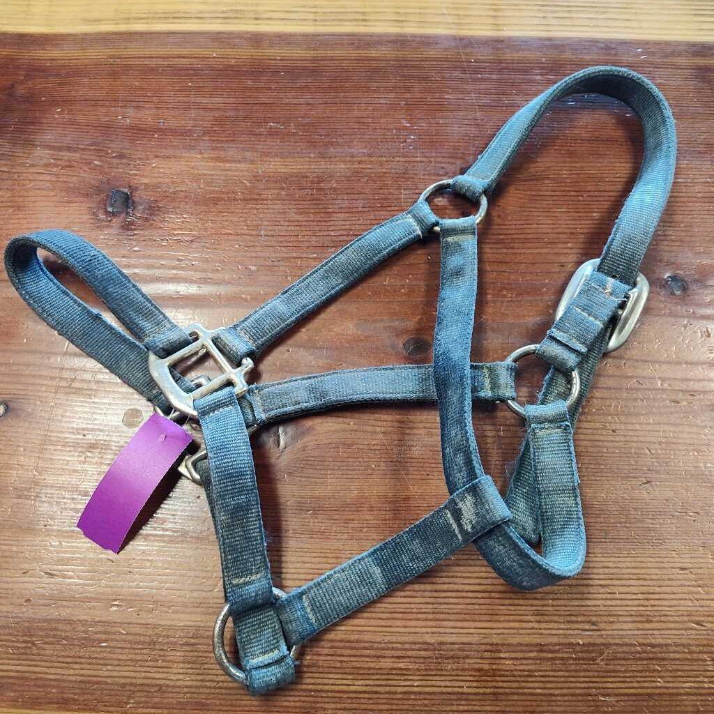 Nylon Halter, Grey, Size Horse