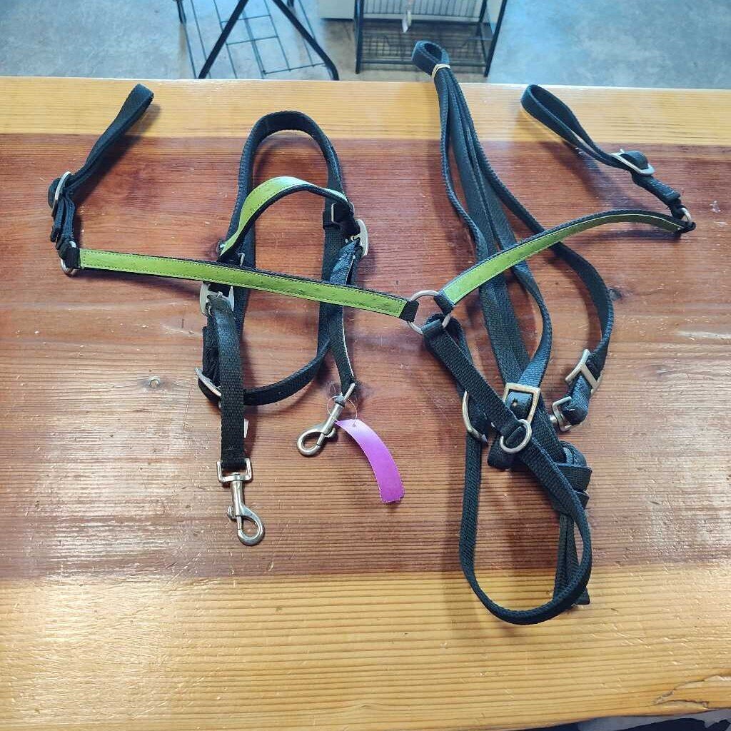 Western Bridle, Green Nylon, Size Horse
